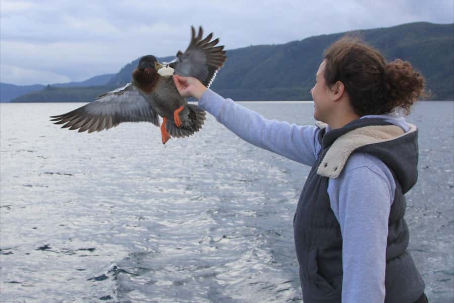 Lake Taupo: Maori Rock Carvings 10.30 AM 1.5-Hour Cruise - Is $35 good value?