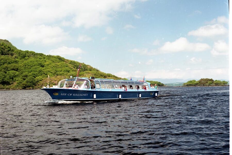 Lakes of Killarney: Boat Cruise - Wildlife, forests, and the quiet side of Killarney