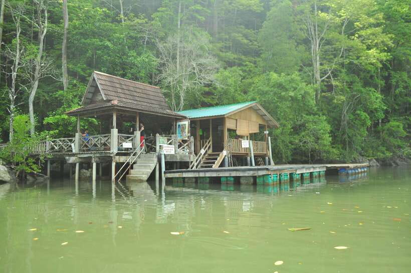 Langkawi: Kilim Mangrove Boat Tour with Lunch and Pickup - Limestone outcrops, caves, and the fish farm