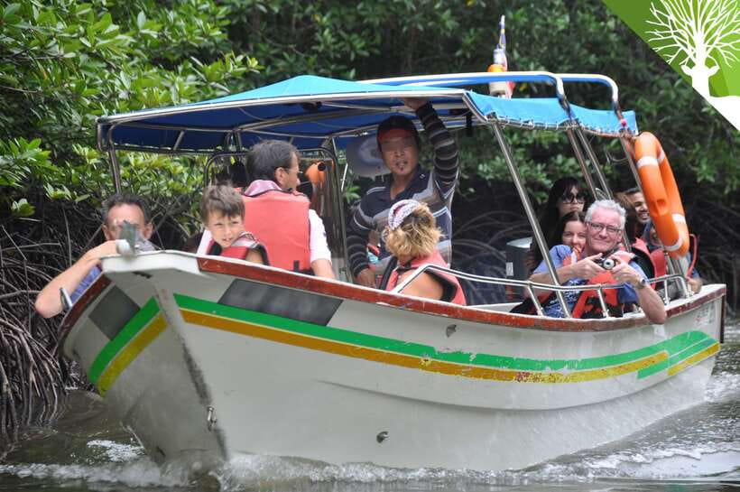 Langkawi: Kilim Mangrove Boat Tour with Lunch and Pickup - Hotel pickup and the ride to the jetty