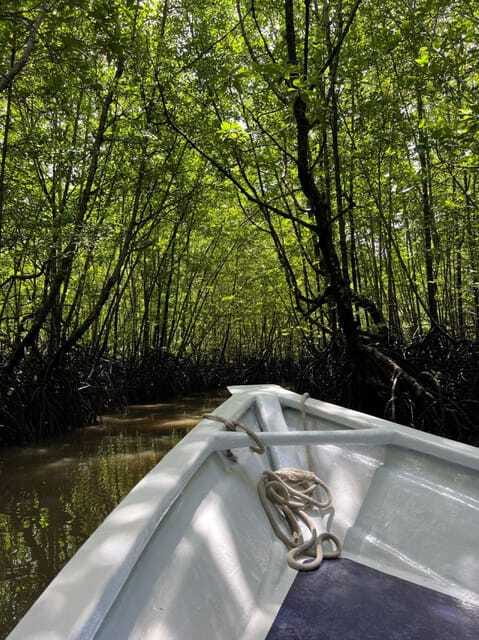 Langkawi: UNESCO Global Geopark Mangrove Cruise - What the guide adds to the trip