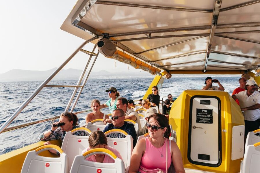 Lanzarote: 2.5-Hour Sunset and Dolphins Cruise - The crew shapes the mood