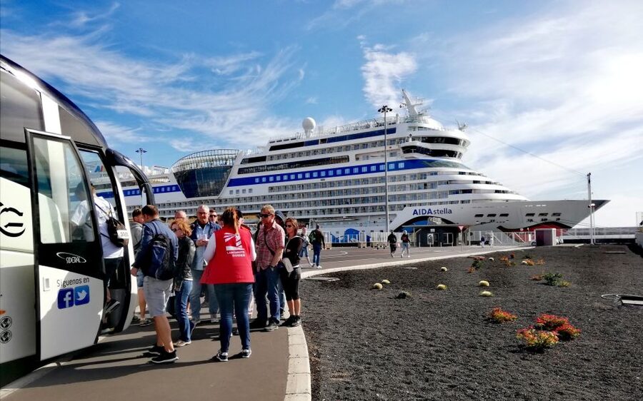 Lanzarote: Day Tour for Cruise Passengers - La Geria wine tasting in volcanic soil