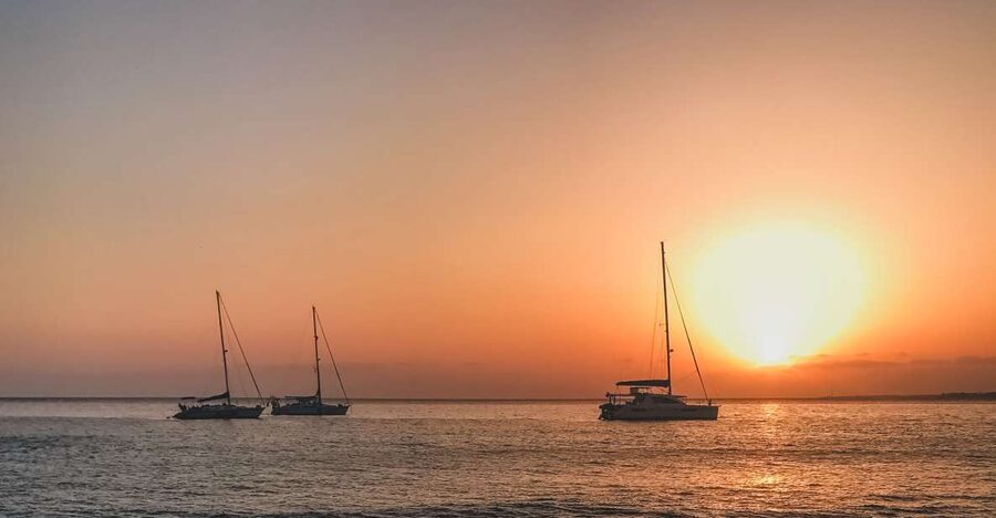 Lanzarote: Dolphin-Watching Sunset Cruise with Transfers - Key points before you book