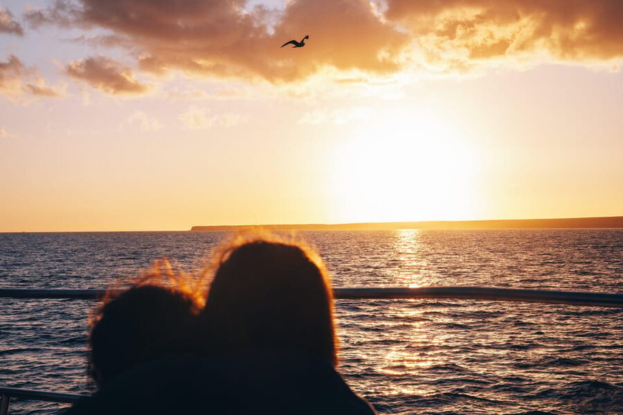 Lanzarote: Dolphin-Watching Sunset Cruise with Transfers - Why the catamaran matters
