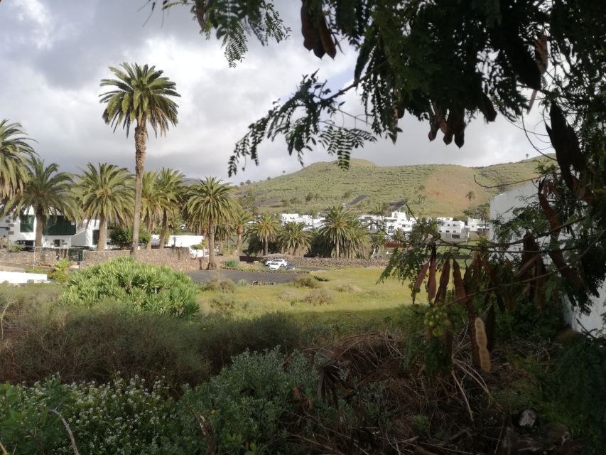 Lanzarote: Jameos del Agua & North Island for Cruise Guests - The guide can shape the experience