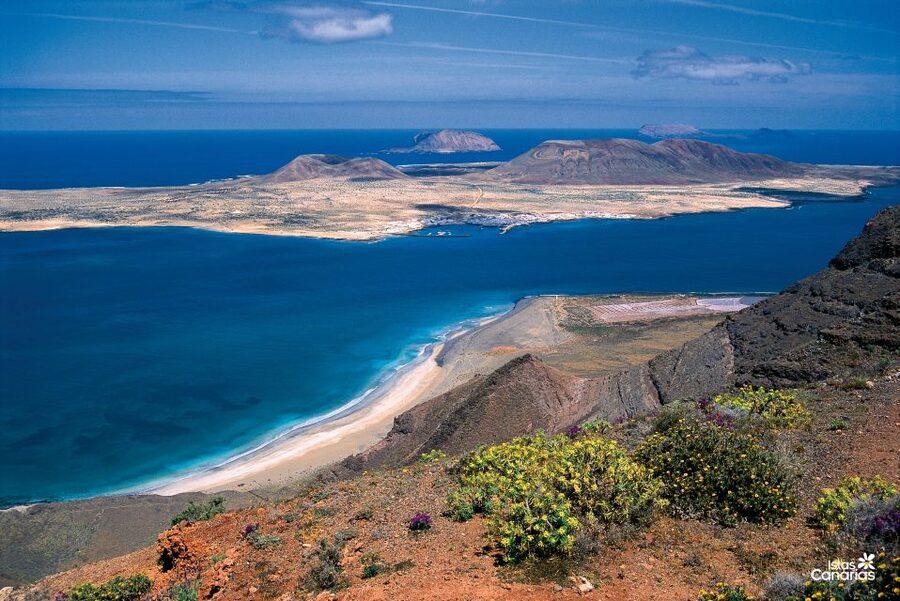 Lanzarote: Jameos del Agua & North Island for Cruise Guests - Who should book this excursion?