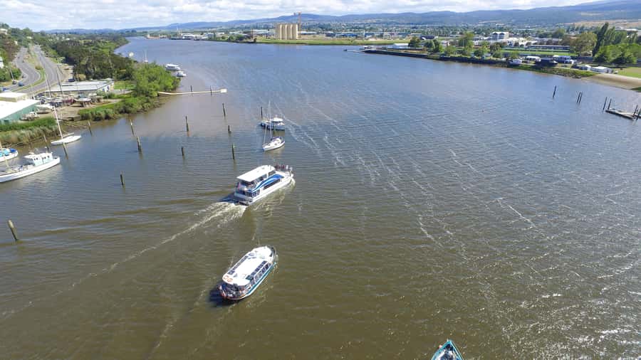 Launceston: 2.5-Hour Afternoon Discovery Cruise - Starting at Home Point Parade in Launceston