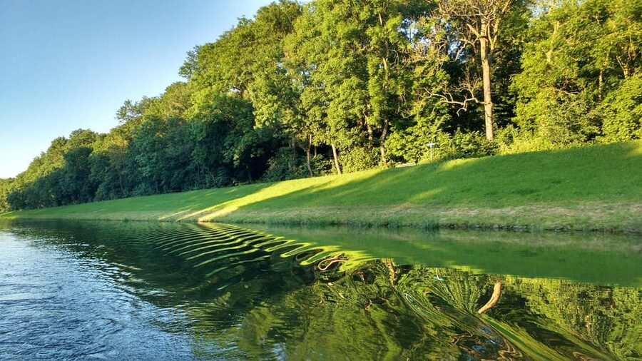 Leipzig: 2-hour Auwald Motorboat Tour - Why Leipzig’s Auwald is worth seeing from the water