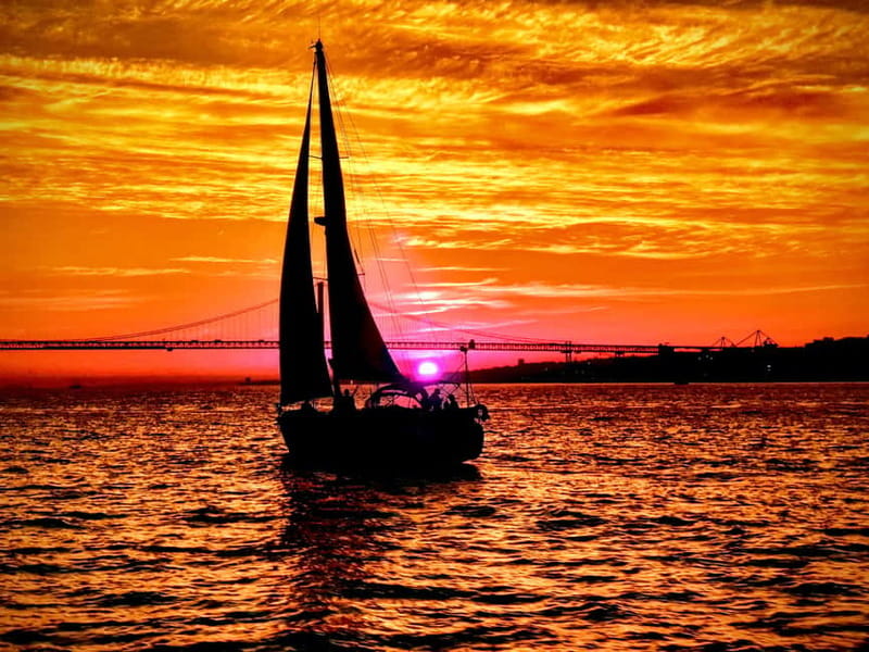 Lisbon: Daytime or Sunset Boat Cruise with History and Wine - Group size, comfort, and value at $47