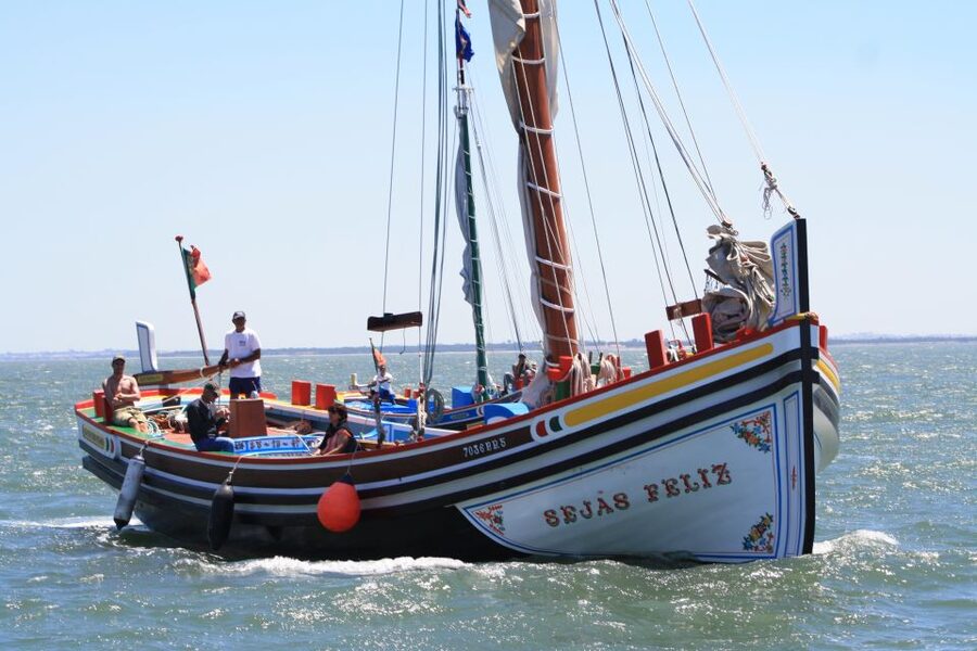 Lisbon: Tagus River Express Cruise in a Traditional Vessel - Key points to know before booking