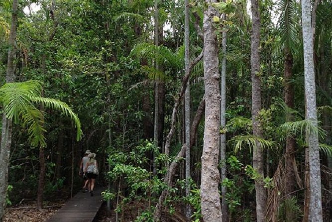 Litchfield National Park and Jumping Crocodile Cruise - Key points to know before you book