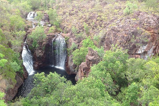 Litchfield National Park and Jumping Crocodile Cruise - Why this Darwin day trip works so well