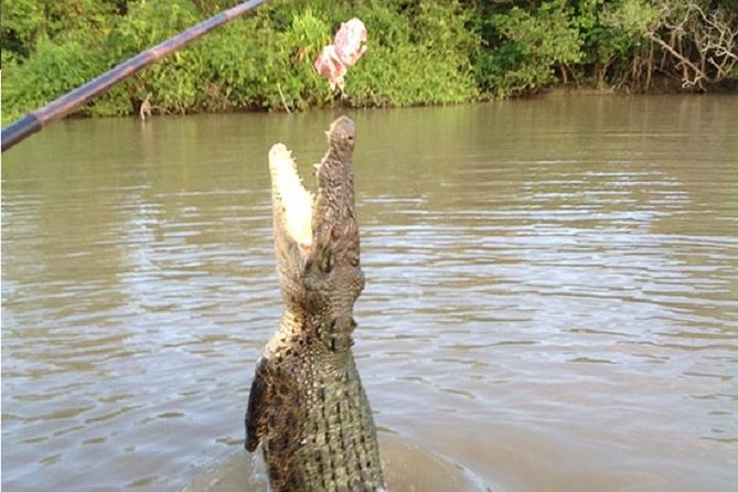 Litchfield National Park and Jumping Crocodile Cruise - Wangi Falls: the broad first swimming stop