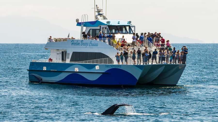 Long Beach: Whale and Dolphin Watching Cruise - Leaving Long Beach with the Queen Mary in view