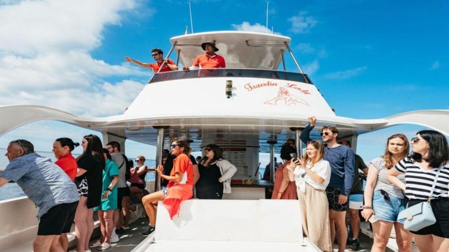 Los Cristianos: Eco Yacht Whale Watching Tour at Sunset - Key points before you book