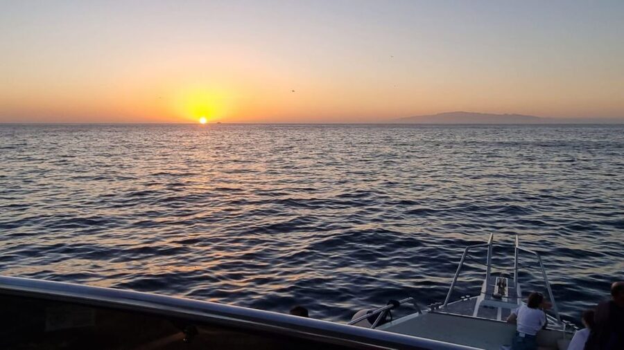 Los Cristianos: Eco Yacht Whale Watching Tour at Sunset - The 90-minute route, from sea life to Mount Teide