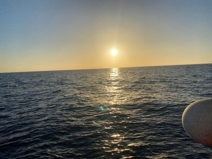 Los Cristianos: Eco Yacht Whale Watching Tour at Sunset - Comfort, clothing, and seasickness advice
