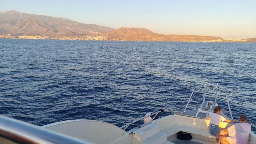 Los Cristianos: Eco Yacht Whale Watching Tour at Sunset - Who will enjoy this trip most