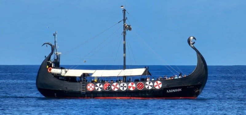 Los Cristianos: Viking Cruise Whales & Dolphins Watching - Comfort, shade, food, and toilets onboard