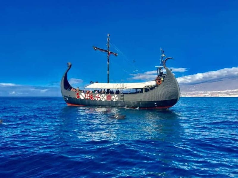 Los Cristianos: Whale Watching Cruise w/Swim Stop & Drinks - Watching whales and dolphins between Tenerife and La Gomera