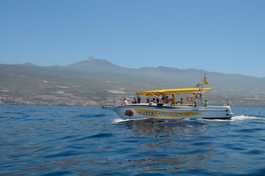 Los Gigantes: Dolphin & Whale Watching Cruise with Swim Stop - Seeing Los Gigantes and the Masca coast