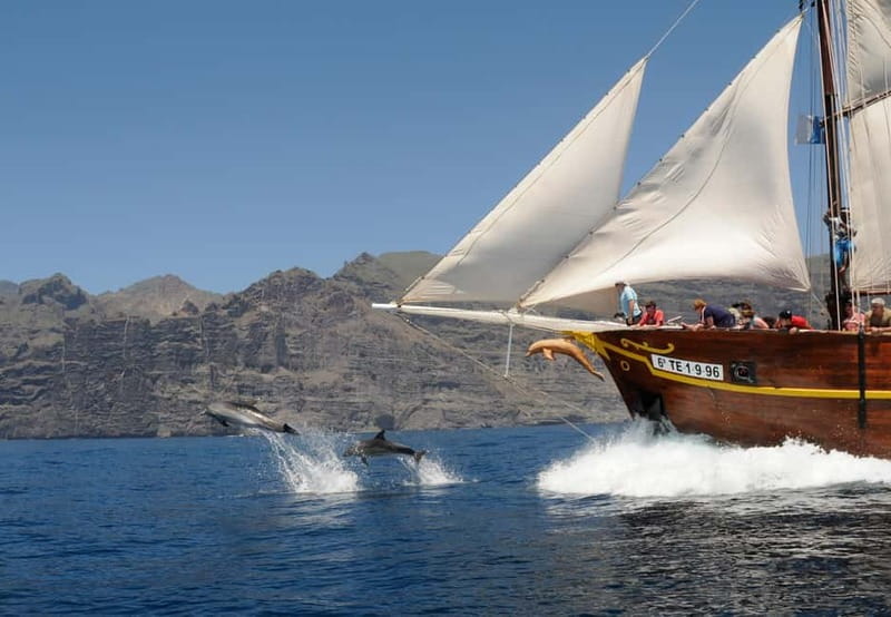 Los Gigantes: Dolphin & Whale Watching Tour on a Pirate Boat - Setting out from Los Gigantes Harbor