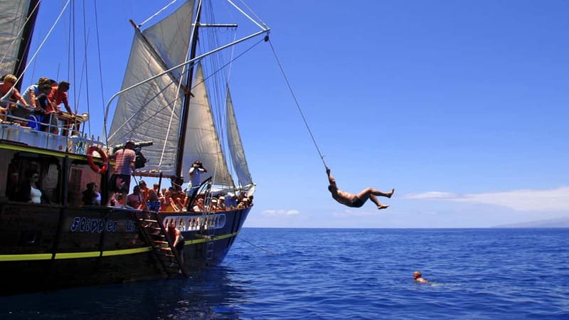 Los Gigantes: Dolphin & Whale Watching Tour on a Pirate Boat - Swimming near Masca, with stairs or a trapeze