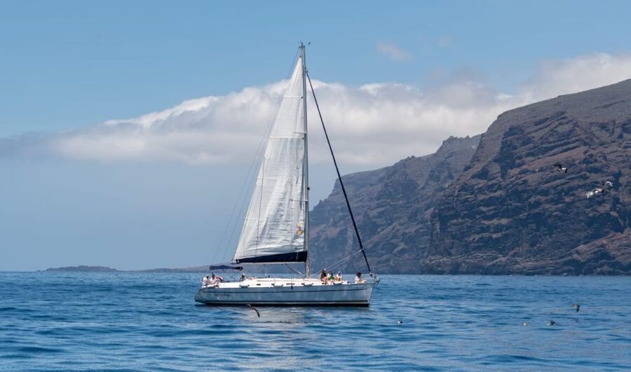 Los Gigantes: Sailing Excursion with Swimming, Drink & Tapas - Setting sail from Puerto de Los Gigantes