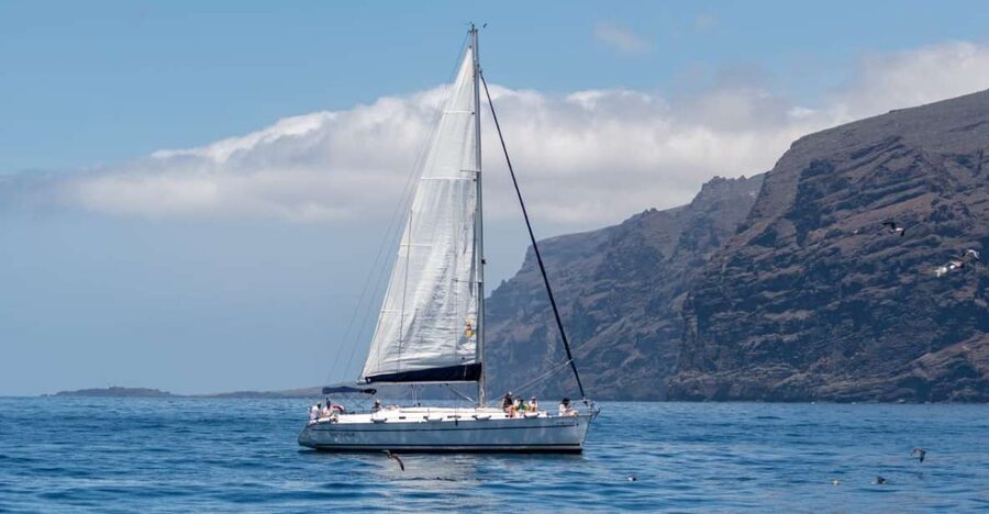 Los Gigantes: Sailing Excursion with Swimming, Drink & Tapas - Red cliffs, quiet coves, and the west coast