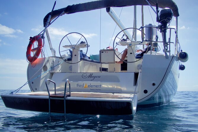 Los Gigantes Whale Watching Charter by Sail Boat - A swim and snorkeling stop below the cliffs