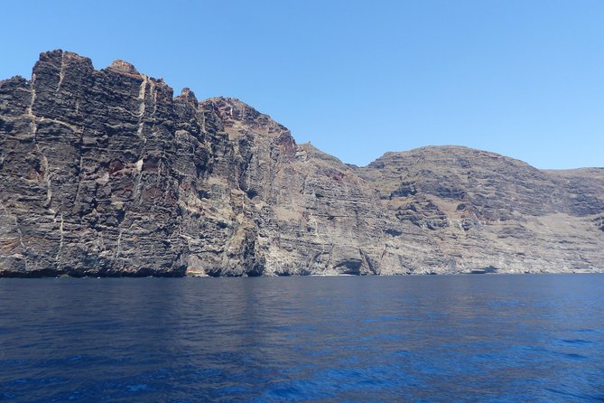Los Gigantes Whale Watching Charter by Sail Boat - What the small group changes