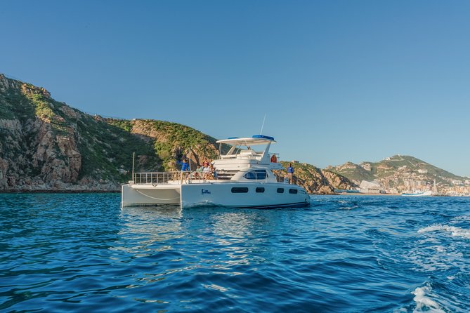 Luxury Catamaran Whale Watching Cabo San Lucas - Why this Cabo whale trip is worth considering