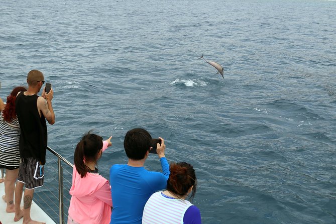 Luxury Snorkel Cruise, Local Buffet with Whale & Dolphin Watch - Who will enjoy this cruise most