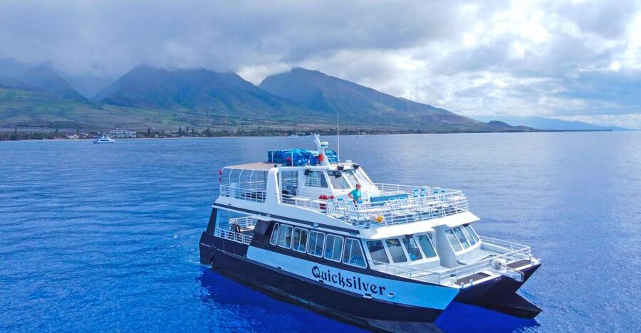 Ma'alaea Harbor: Whale Watching Tour Aboard Power Catamaran - Ma’alaea Harbor is the right launch point for Maui whales
