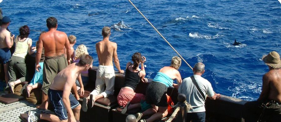 Madeira Pirate Ship: 3-Hour Boat Trip - Key points to know before you book