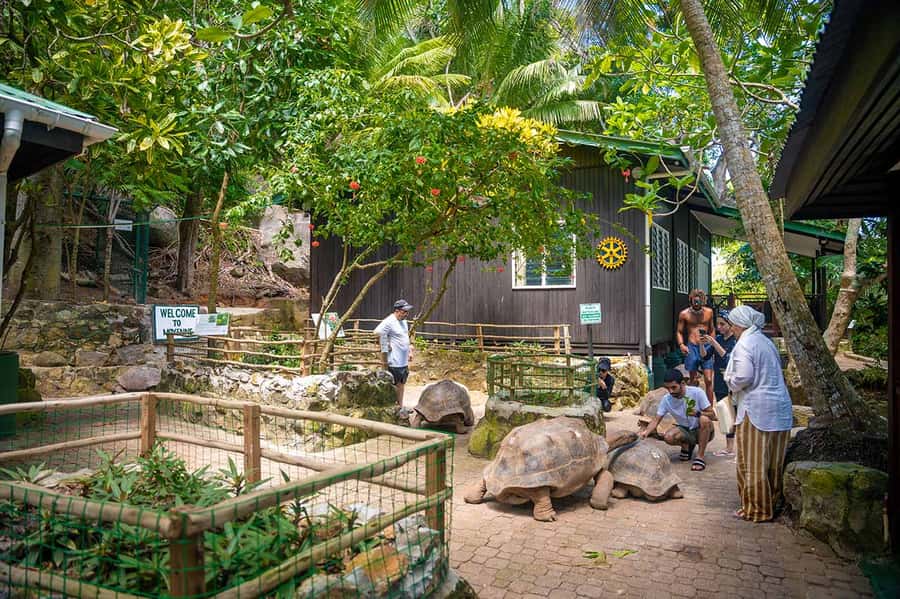 Mahé: Saint-Anne Marine Park and Moyenne Island Cruise - Pickup times require a little care