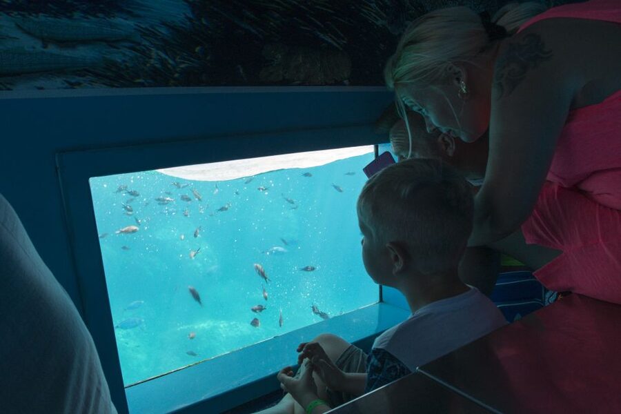 Mahon: Harbor Boat Tour with Underwater Viewing & Commentary - The best time to take the cruise
