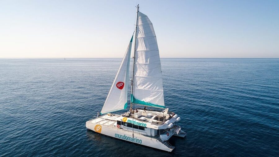 Malaga: Catamaran Sailing Cruise with Swimming & Optional DJ - Choosing between the standard cruise and the DJ option