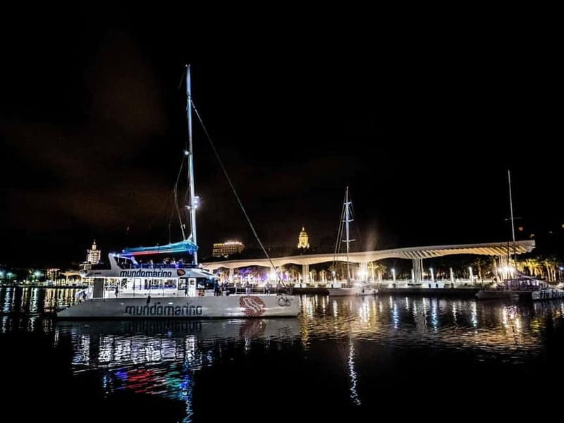 Malaga: Catamaran Sunset or Night Cruise w/ Live DJ & Drink - Who should book this Malaga cruise?