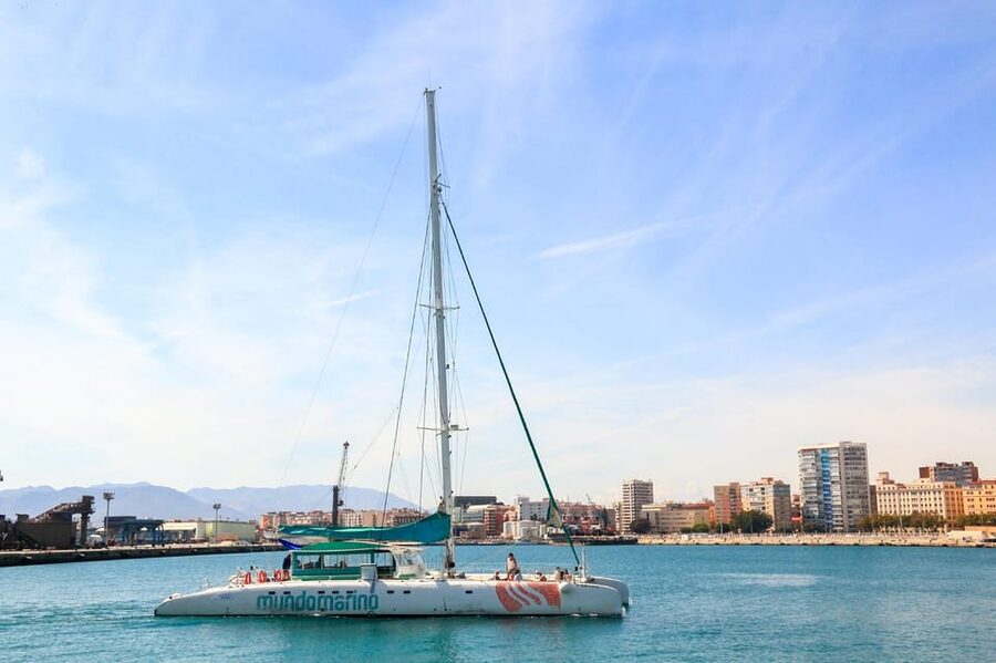 Malaga: Sailing Catamaran with Swimming and Paella Lunch - A welcome drink, then lunch at sea