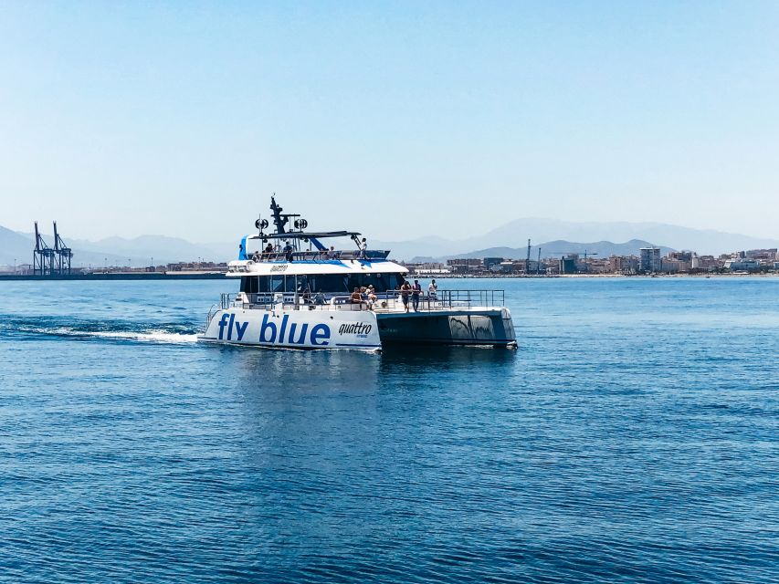 Málaga: Scenic Catamaran Cruise - Who gets the best value from this cruise?