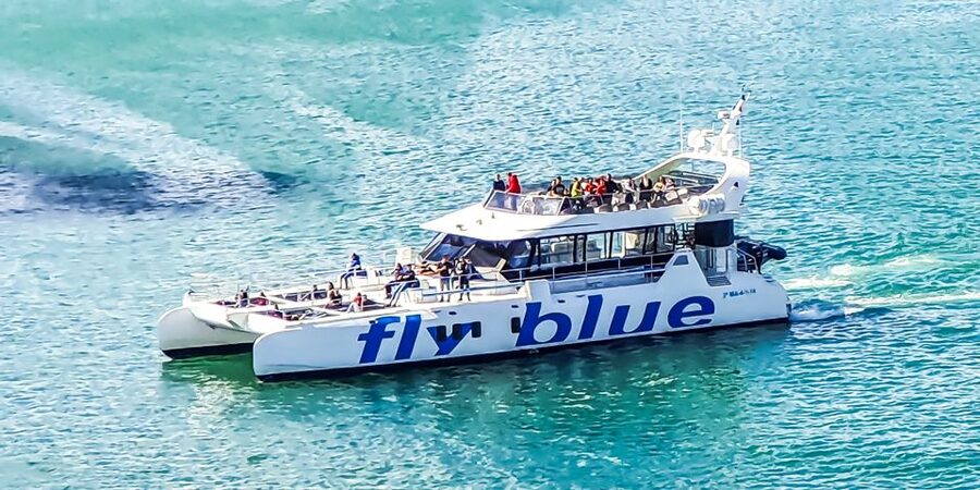 Málaga: Scenic Catamaran Cruise - Practical timing and booking advice