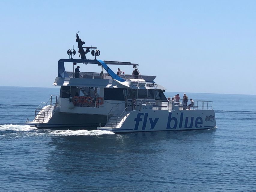 Málaga: Sunset Catamaran Trip - Booking details that matter