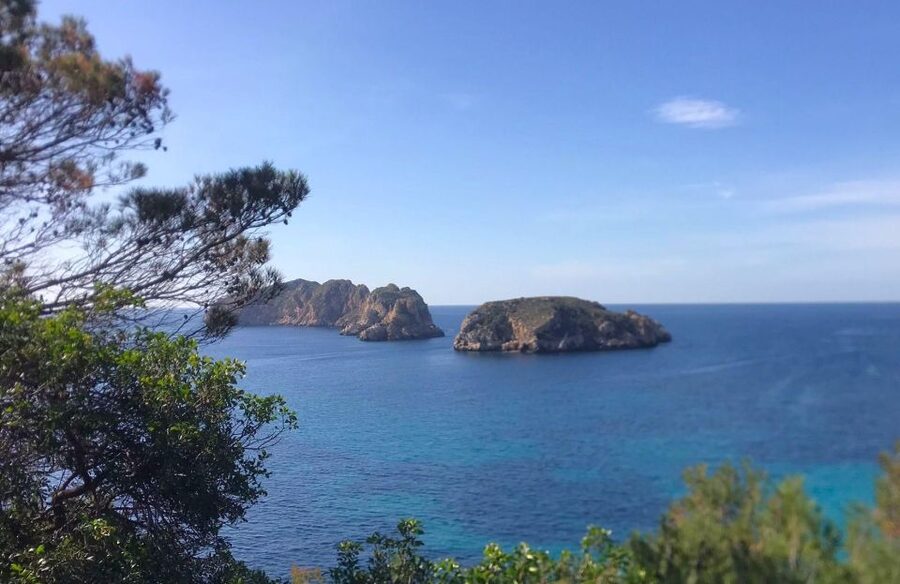Mallorca: 2-Hour Coastline & Malgrat Islands Catamaran Tour - Is $29 a fair price?