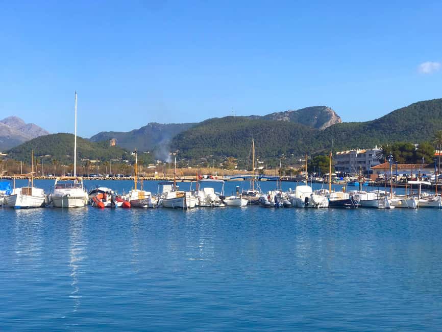 Mallorca: Coastal Cruise to Port of Andratx with swim stop - Booking, cancellation, and languages