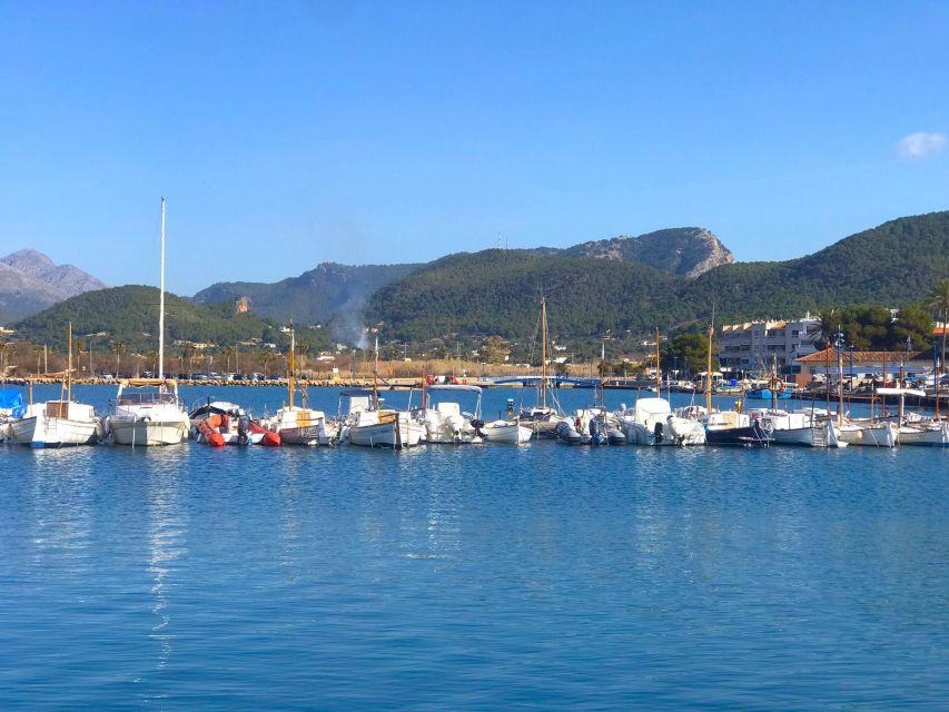 Mallorca: Coastal Cruise to Port of Andratx with swim stop - The first swim stop in clear water