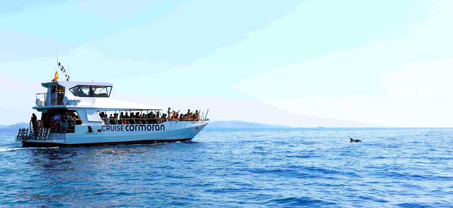 Mallorca: Coastal Cruise to Port of Andratx with swim stop - Cala en Tió and the cliffside scenery