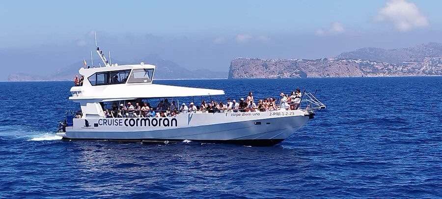 Mallorca: Coastal Cruise to Port of Andratx with swim stop - Port Andratx, 40 minutes on shore