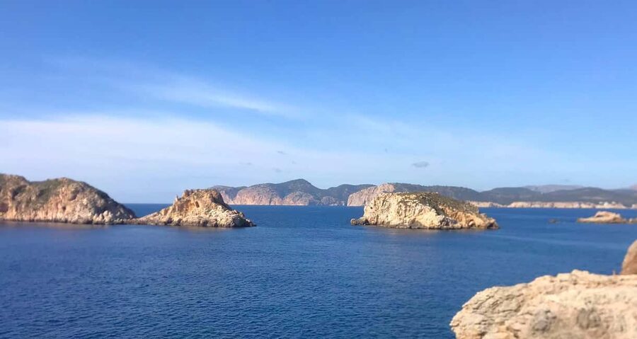 Mallorca: Coastal Cruise to Port of Andratx with swim stop - Food, drinks, and what the €53 covers